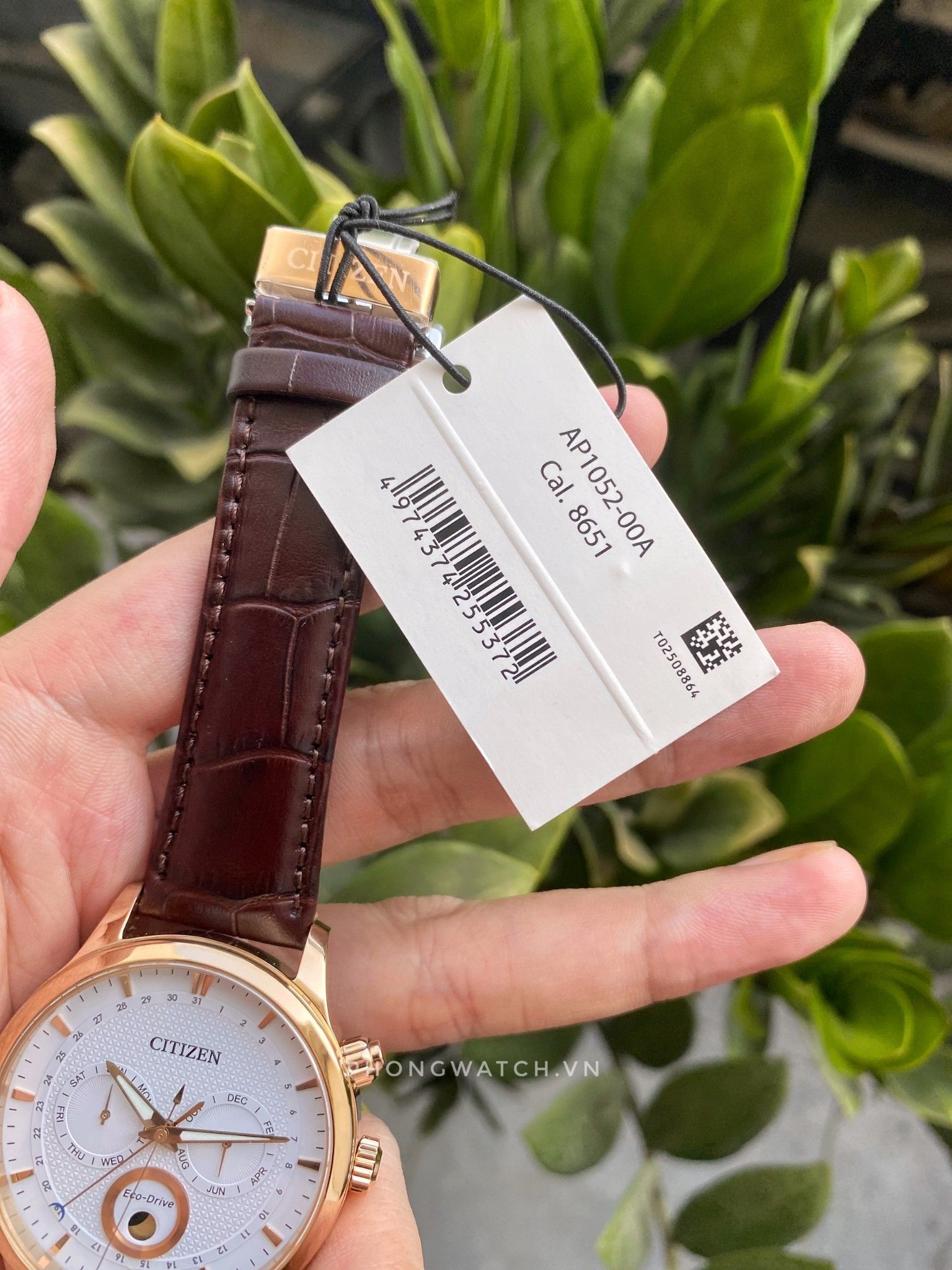 Citizen Eco Drive AP1052 00A PhongWatch