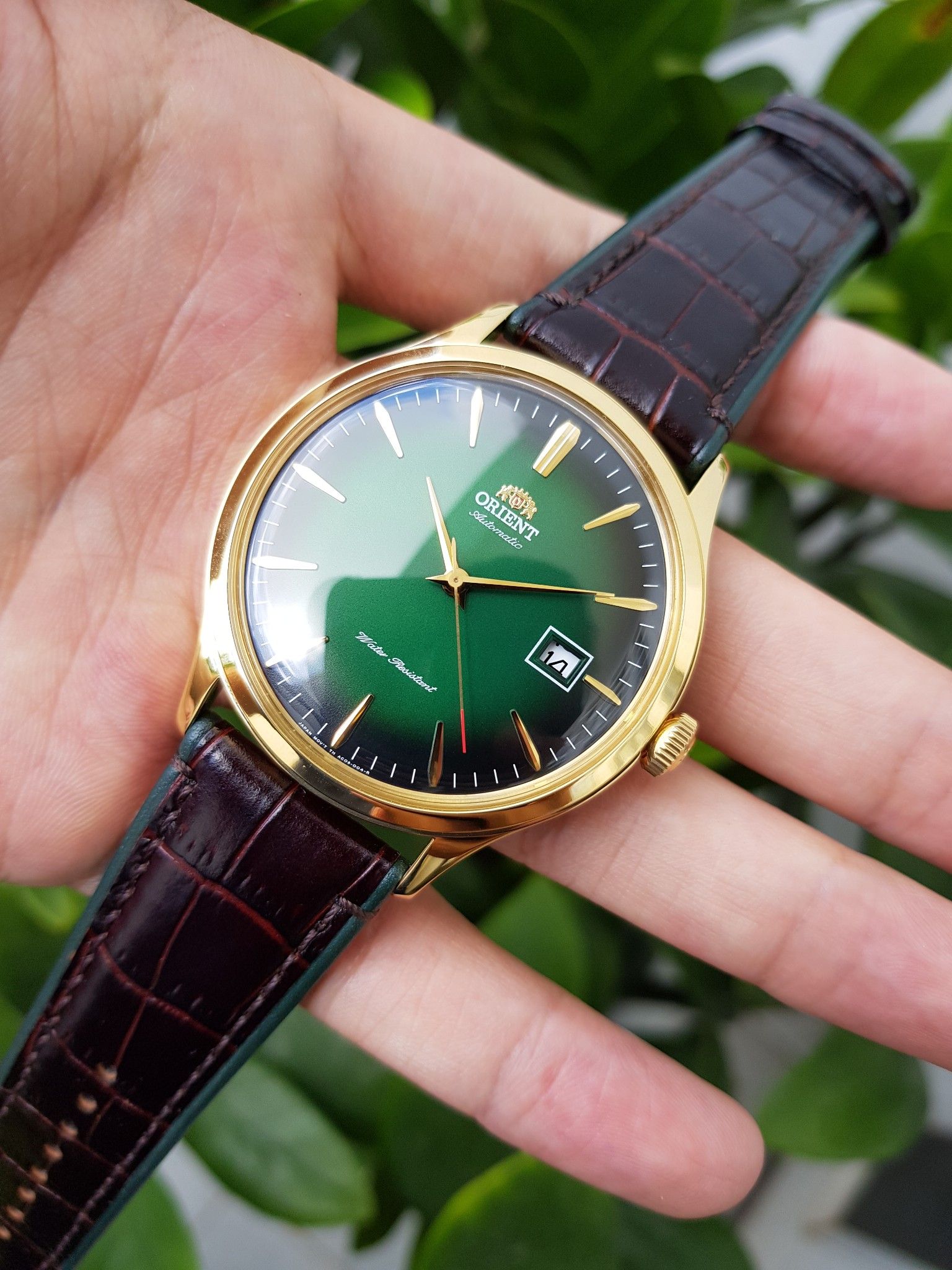 Orient Bambino Gen 4 FAC08002F0 ( SAC08002F0 ) - Đồng Hồ Nam