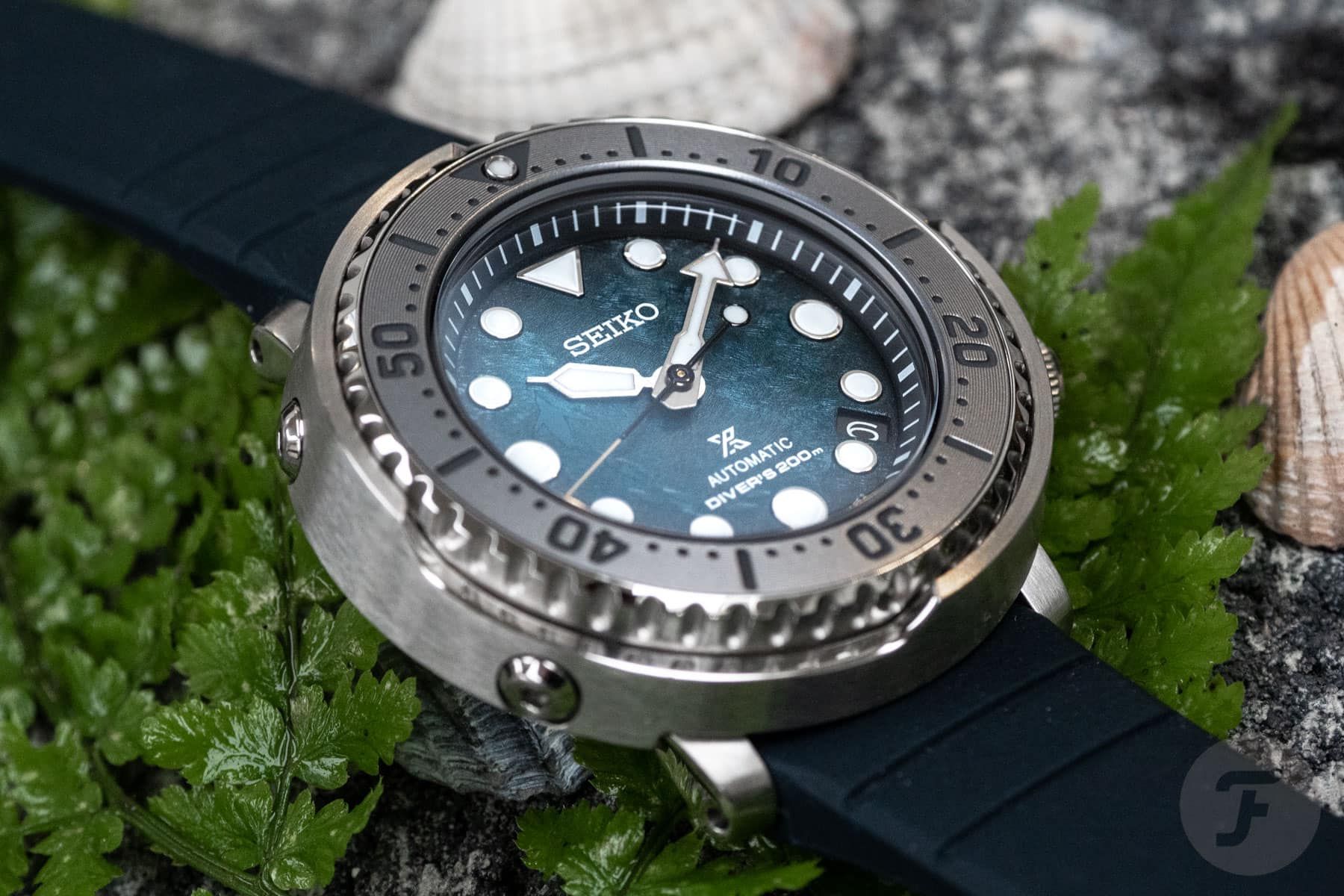 Seiko Prospex SRPH77K1 Divers Tuna Antartica Silicone - Đồng Hồ Nam –  PhongWatch