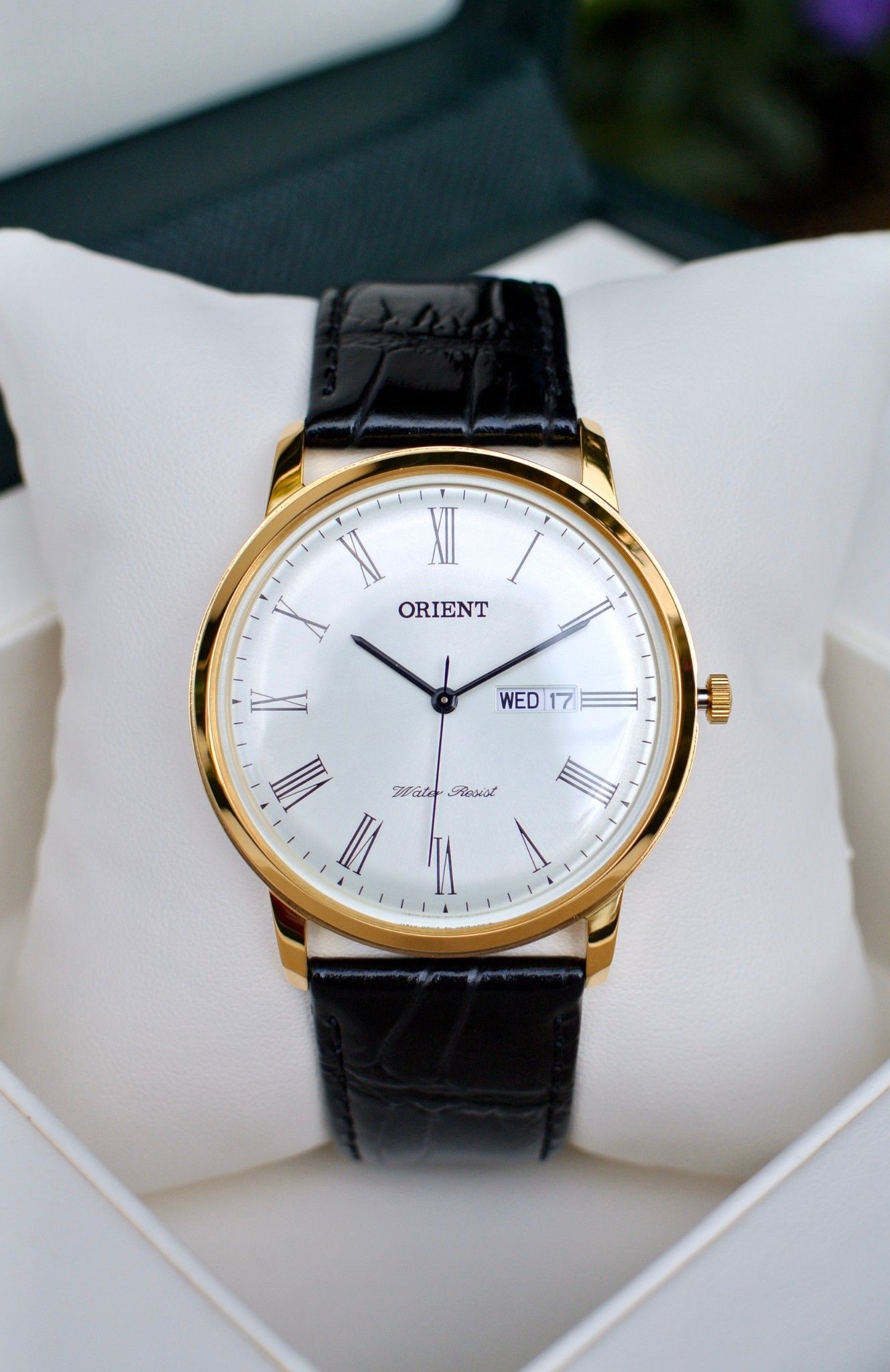 Orient capital v2 new arrivals