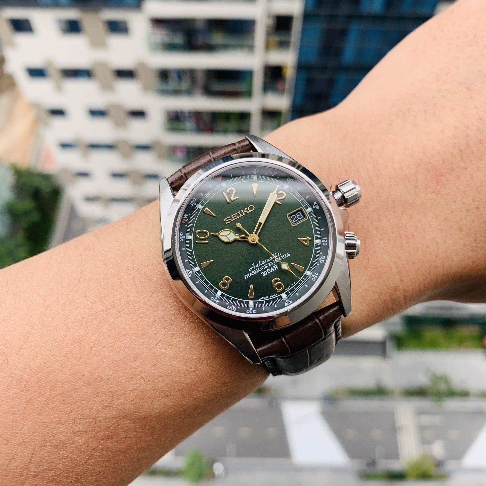 Top 48+ imagen seiko alpinist wrist shot