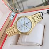 Edox Automatic Delfin Gold Steel 80117-37JM-AID ( 8011737JMAID ) - Đồng Hồ Nam