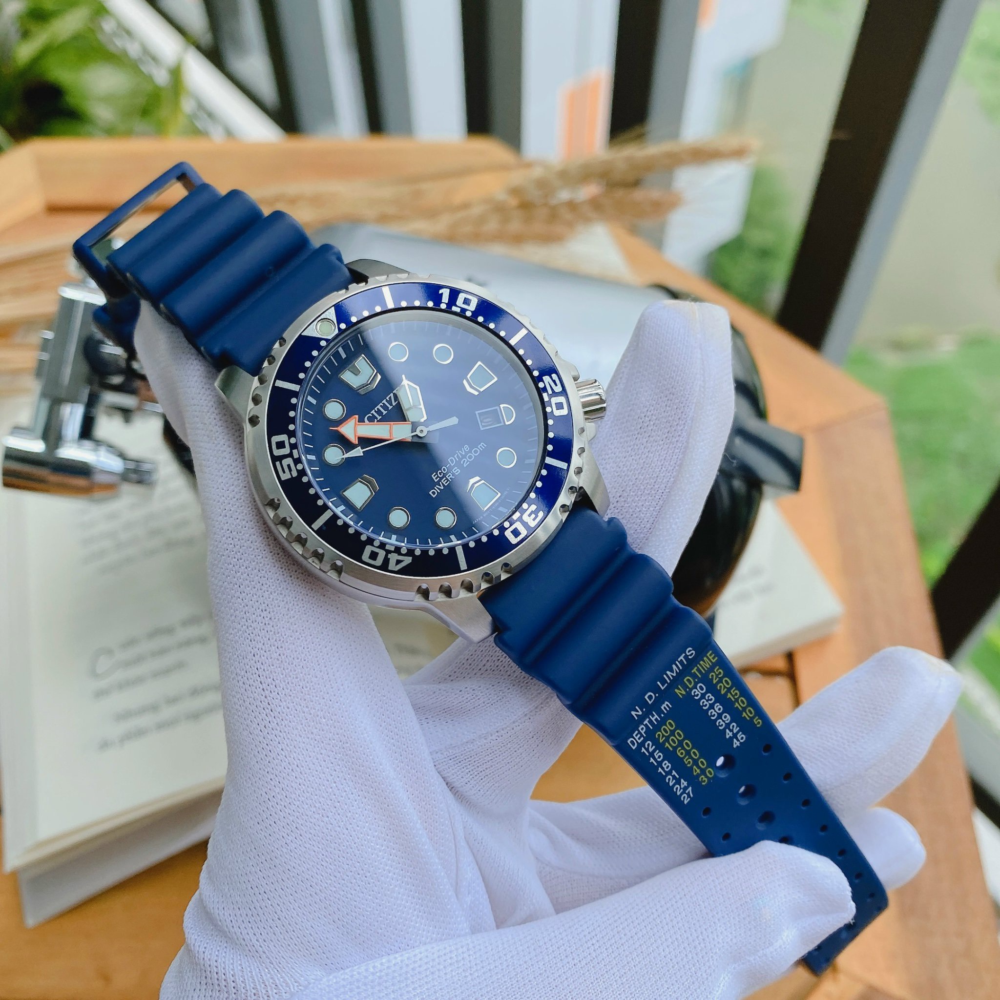 Citizen Eco-Drive BN0151-09L Promaster Professional Diver Đồng Hồ Nam –  PhongWatch