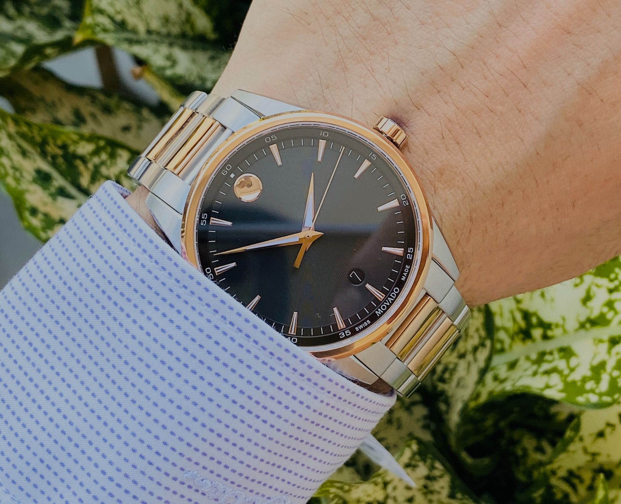 Movado stratus cheap men's watch