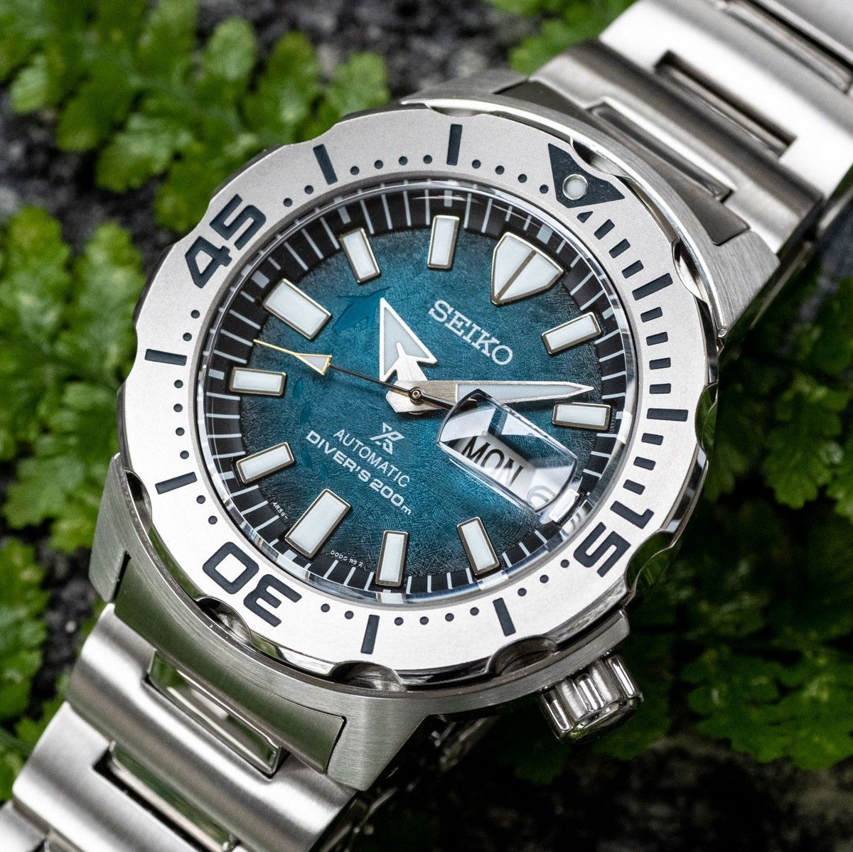 Seiko SRPH75K1 Antartica Penguin Prospex 200M ( SRPH75 ) – PhongWatch