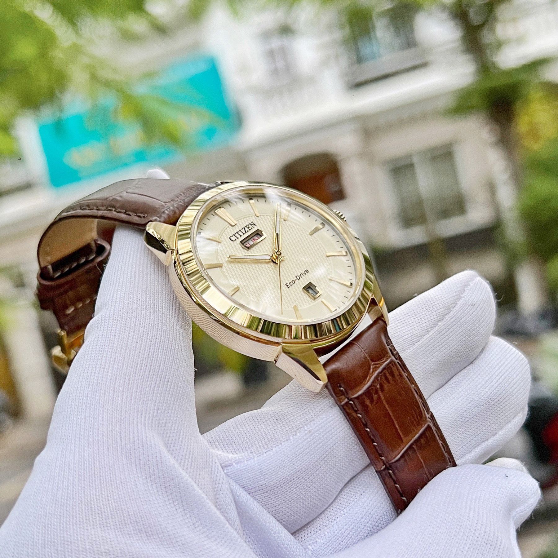 Dong ho eco drive new arrivals