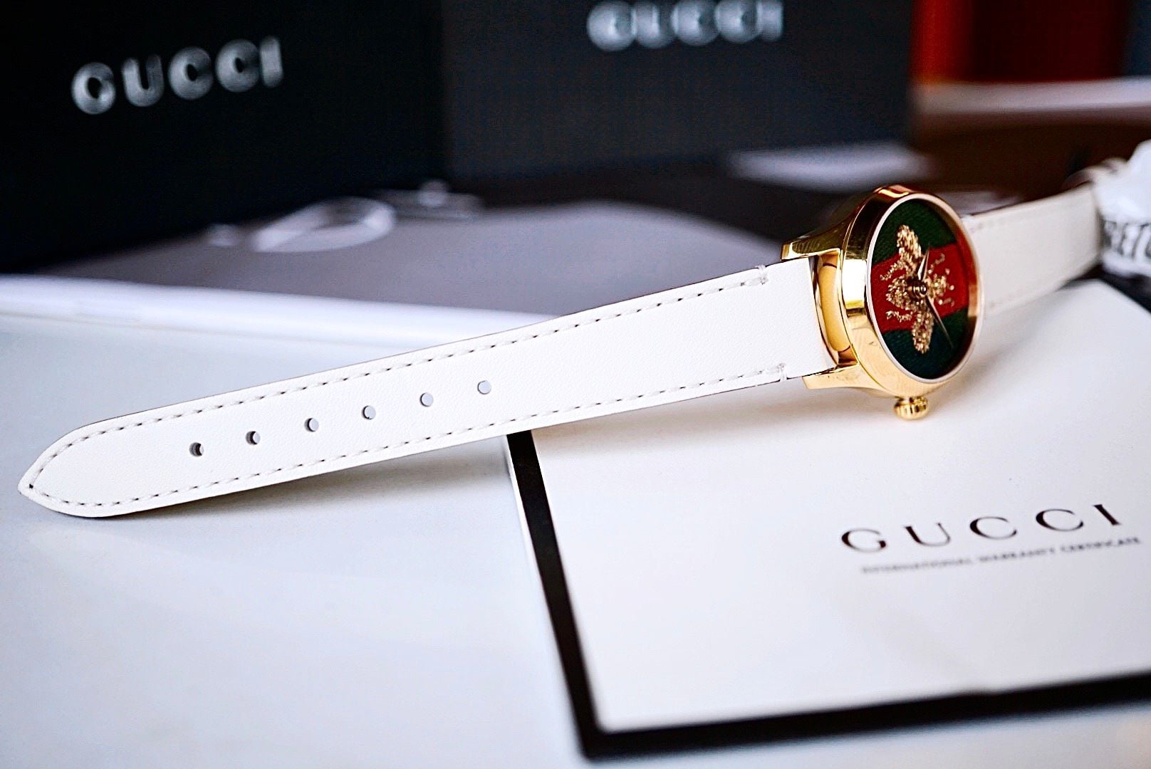 Gucci G-Timeless YA1264128 Quartz Green And Reb Web Nylon Dial - Đồng –  PhongWatch