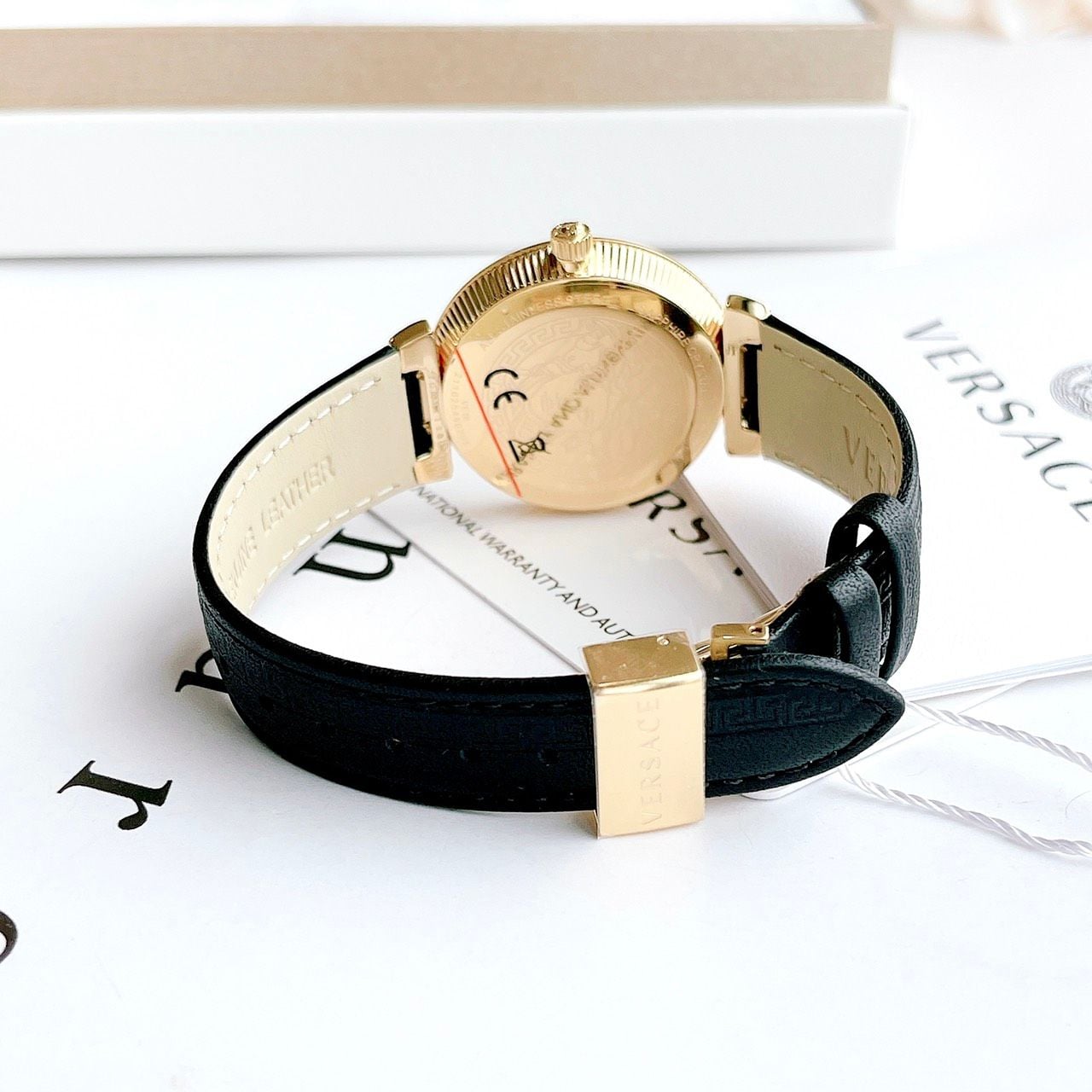 Versace Daphnis Quartz Black Dial Black Leather V16050017 Đồng Hồ Nữ