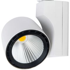 ĐÈN LED RỌI RAY SHOP CAO CẤP 20W HANSHIN LR01-12W