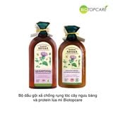 Bộ dầu gội xả chống rụng tóc cây ngưu bàng và protein lúa mì Biotopcare