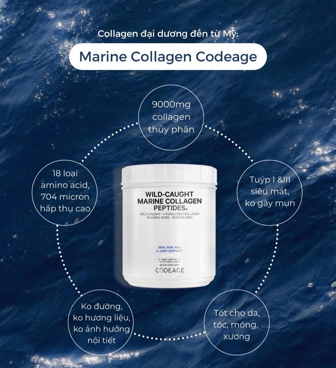 SO SÁNH MARINE COLLAGEN VÀ MULTI COLLAGEN ĐỂ LỰA CHỌN PHÙ HỢP NHU CẦU