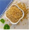 Trà lúa mỳ 500gr để nuôi dưỡng và điều chỉnh dạ dày