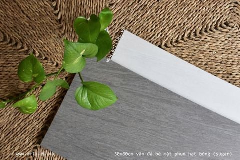  Gạch vân đá sa thạch 30x60cm Art3610 