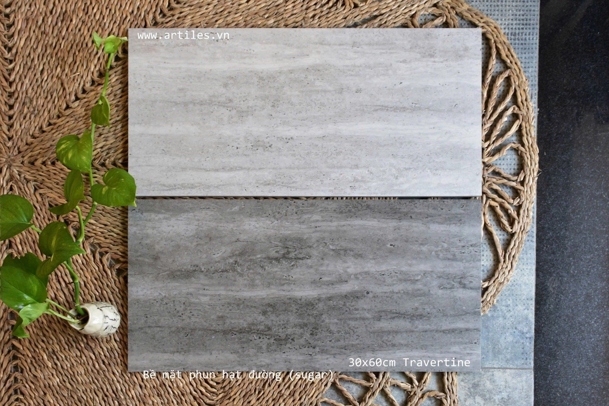 Gạch Travertine 30x60cm
