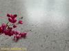 Gạch Đá Mài Terrazzo Art6060 - Ter01HM