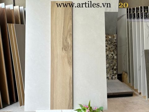 Gạch vân gỗ 20x100cm ArtM20 