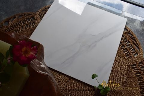  Gạch lát nền 80x80 bóng kiếng Art8080 - GP14 