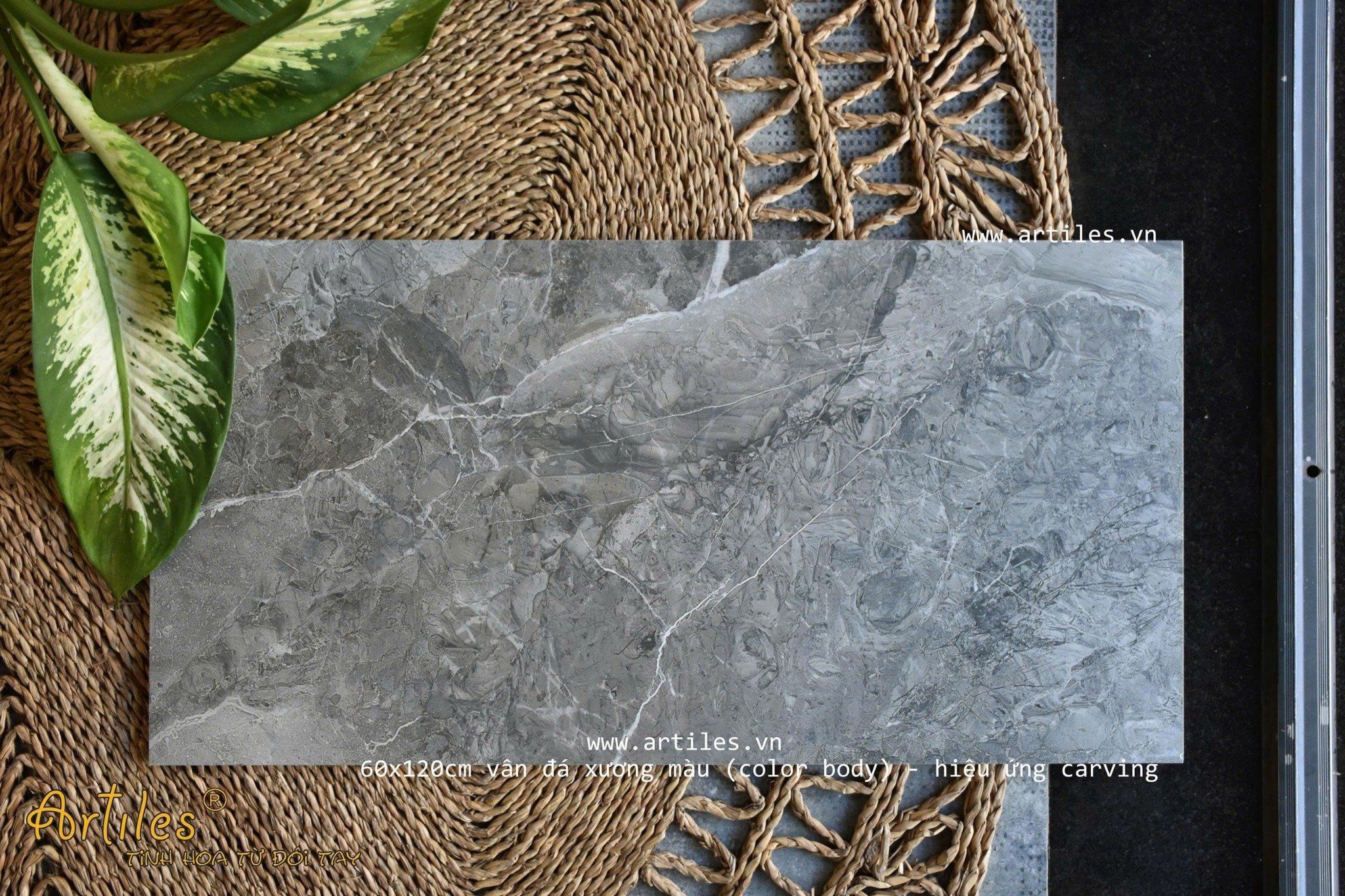 Gạch ốp lát cao cấp Color body - gạch xương màu 60x120cm