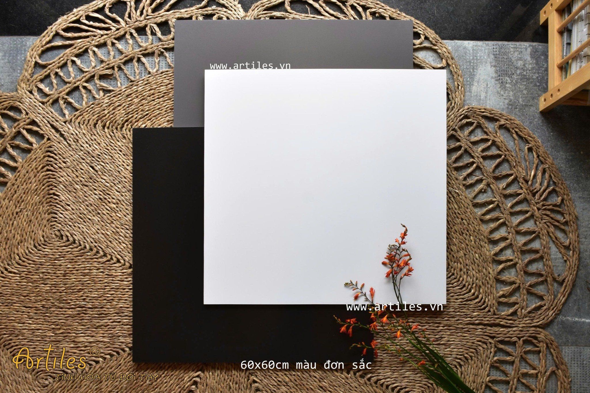 Gạch palette đơn sắc màu trắng mờ