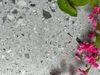 Gạch Terrazzo đá mài 40x80cm Art4080 - M502