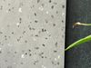 Gạch đá mài terrazzo Art3618