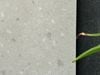 Gạch đá mài terrazzo Art3620