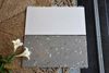 Gạch đá mài terrazzo Art3618