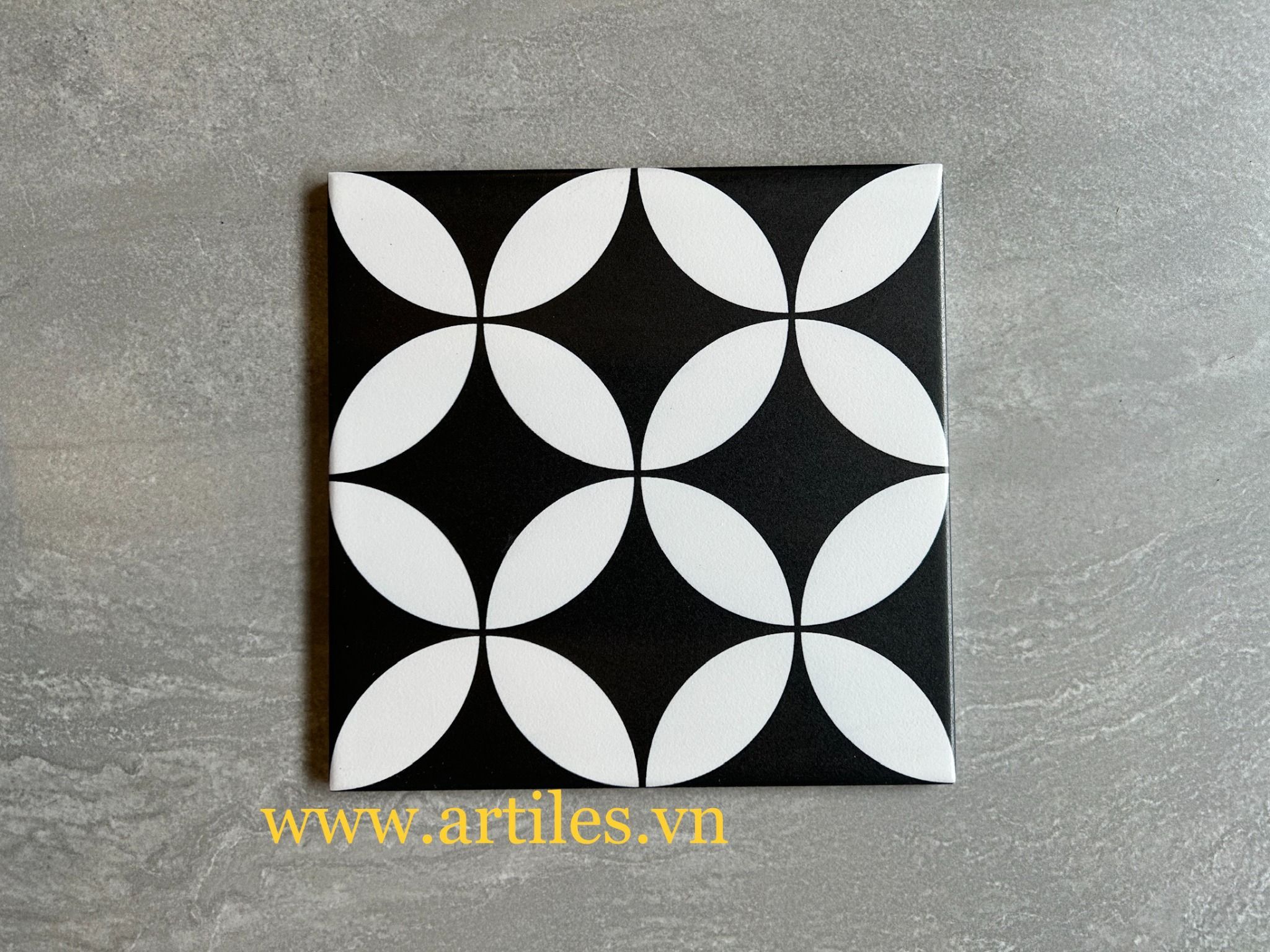 Gạch bông đồng tiền trắng nền đen