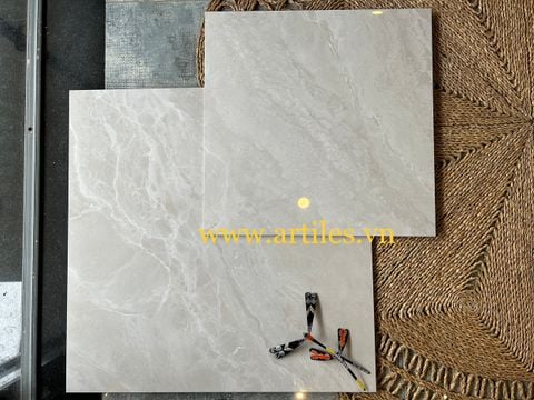  Gạch bóng kiếng 60x60 