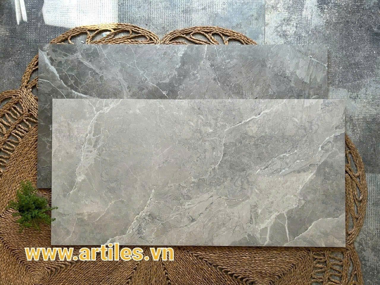 Gạch ốp lát cao cấp Color body - gạch xương màu 60x120cm