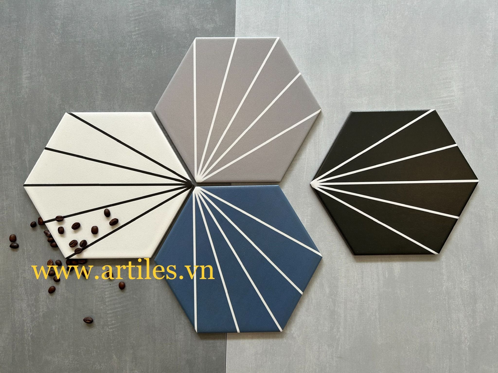 Gạch lục giác cánh quạt 5 tia