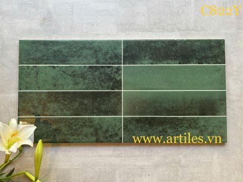  Gạch ốp tường trang trí 30x60cm Art822Y 