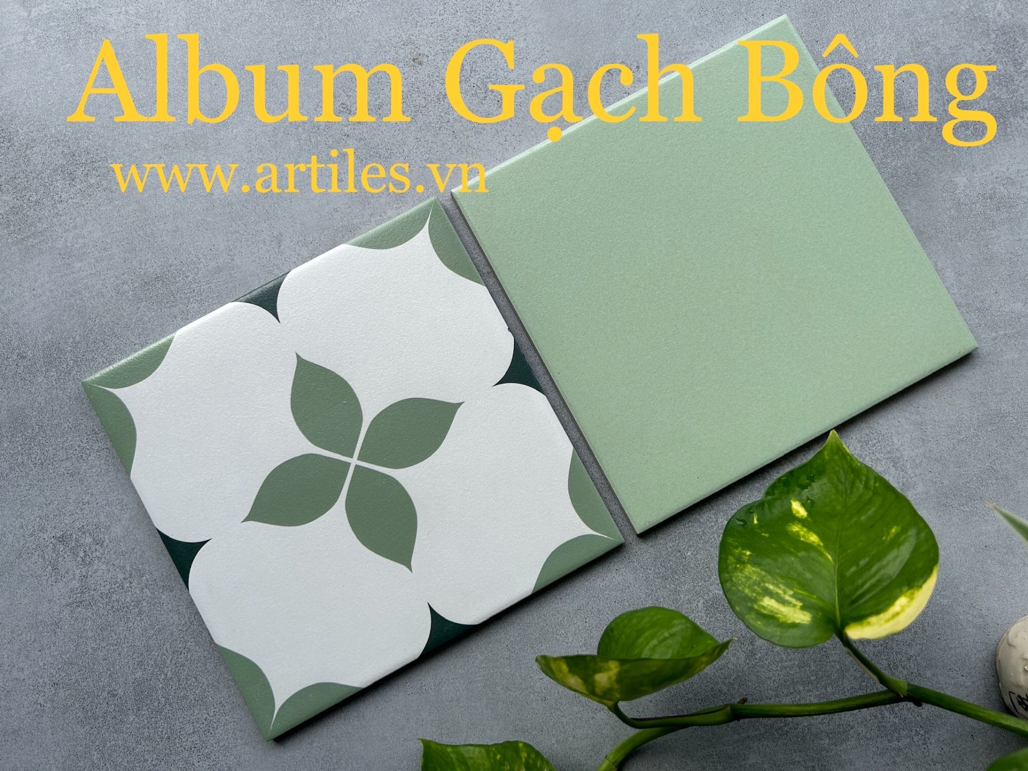 ALBUM GẠCH BÔNG TỔNG HỢP