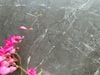 Gạch lát sàn 40x80cm mờ chống trơn Art803M