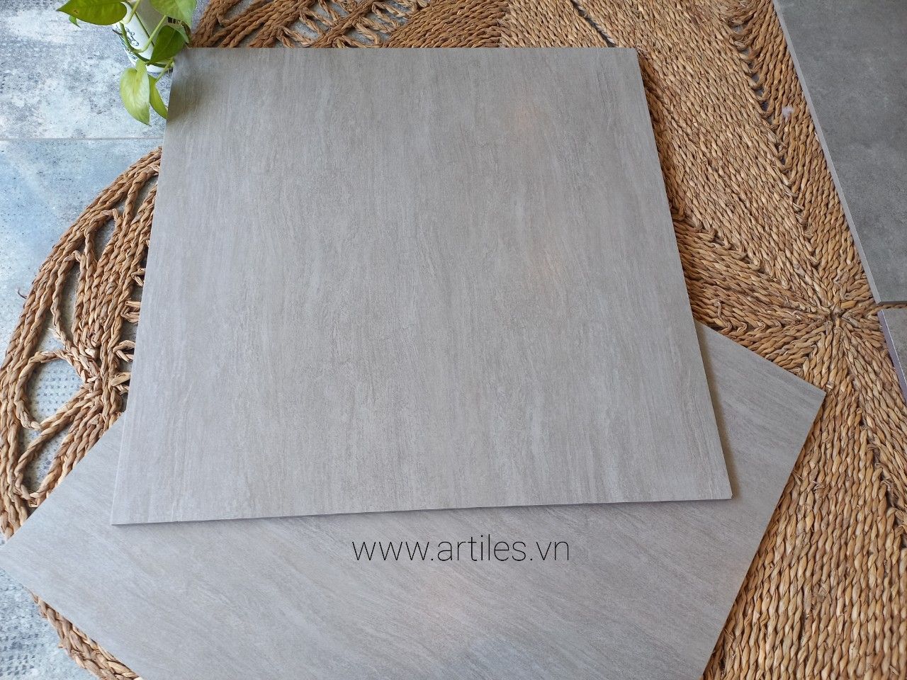 Gạch Vân Đá Travertine 60x60cm giá rẻ tại TP.HCM