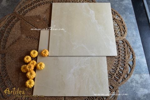  GẠCH  BỀ MẶT MỊN LỤA ( BABY SKIN) Art600S 