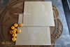 GẠCH  BỀ MẶT MỊN LỤA ( BABY SKIN) Art600S