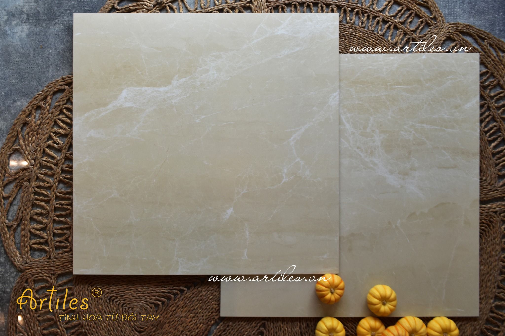 GẠCH  BỀ MẶT MỊN LỤA ( BABY SKIN) Art600S