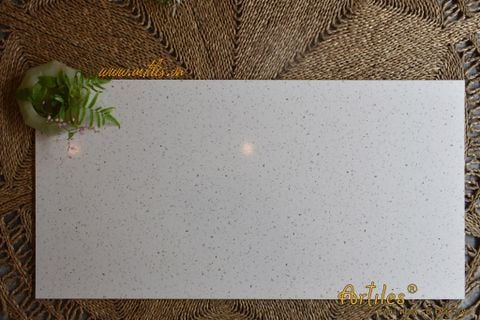  Gạch 60x120cm vân terrazzo trắng 