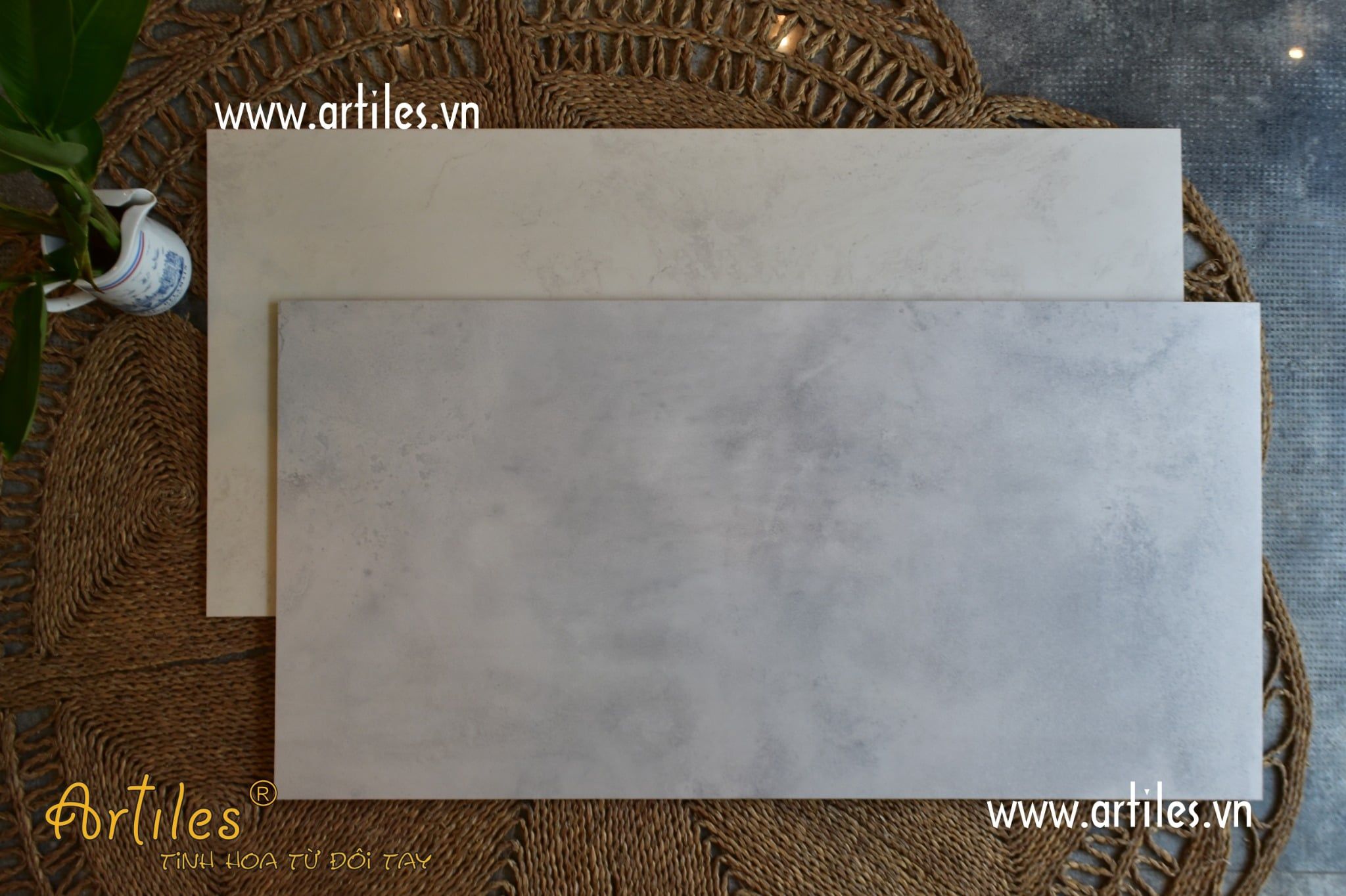 Gạch xám ximang bóng mờ ( baby skin) Art60120-634G