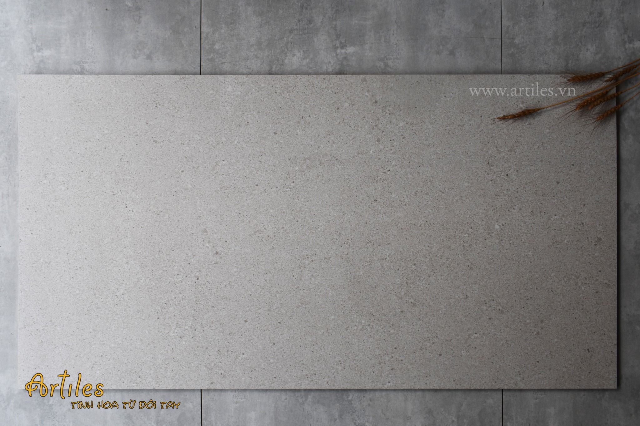 Gạch vân Terrazzo khổ lớn