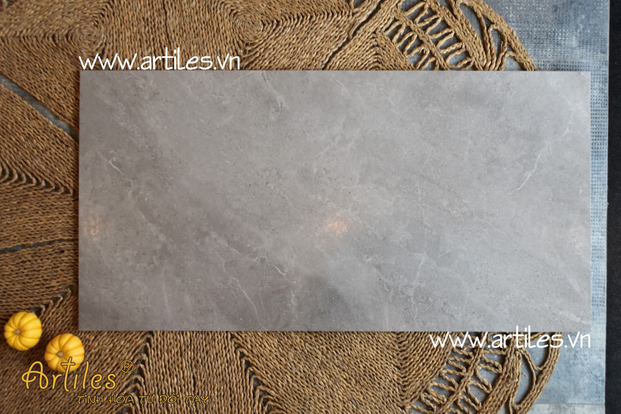 Gạch mờ mịn mượt Art60120 - PDN31
