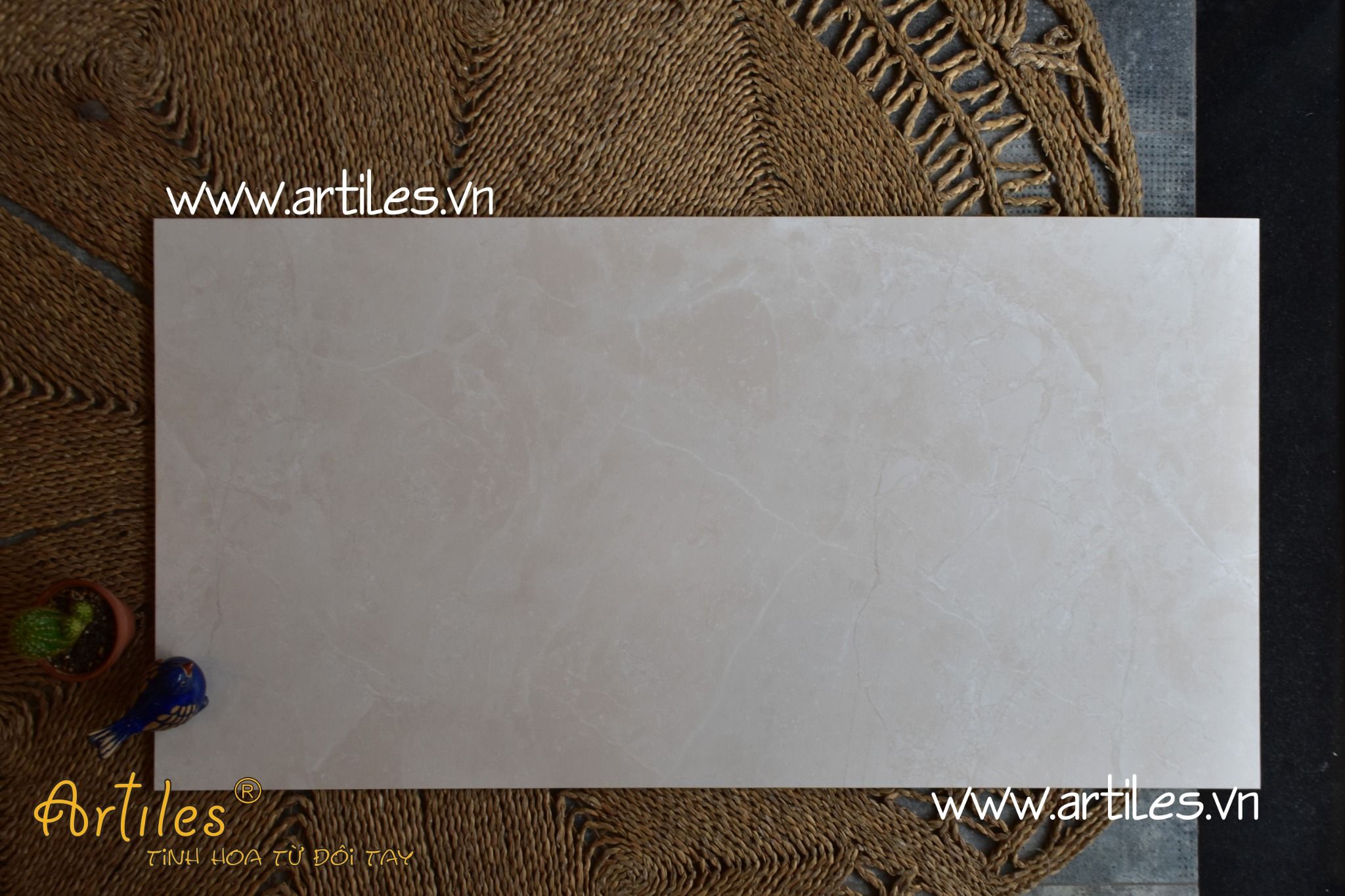 Gạch màu kem màu beige mịn Art60120 - G032