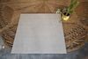 Gạch 60x60 màu xám mờ ArtSM04