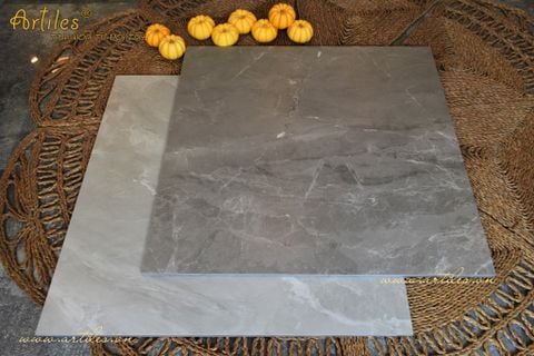  Gạch lát nền bóng mờ ( mờ mịn như lụa) Art602S 