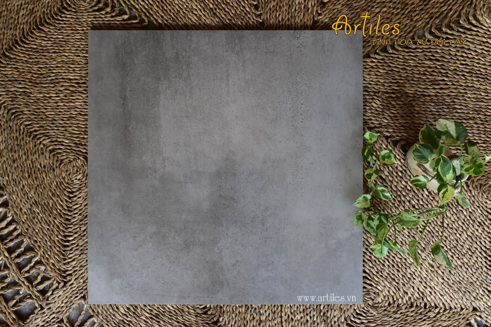 Gạch vân Xi Măng Art6060 - 04CV