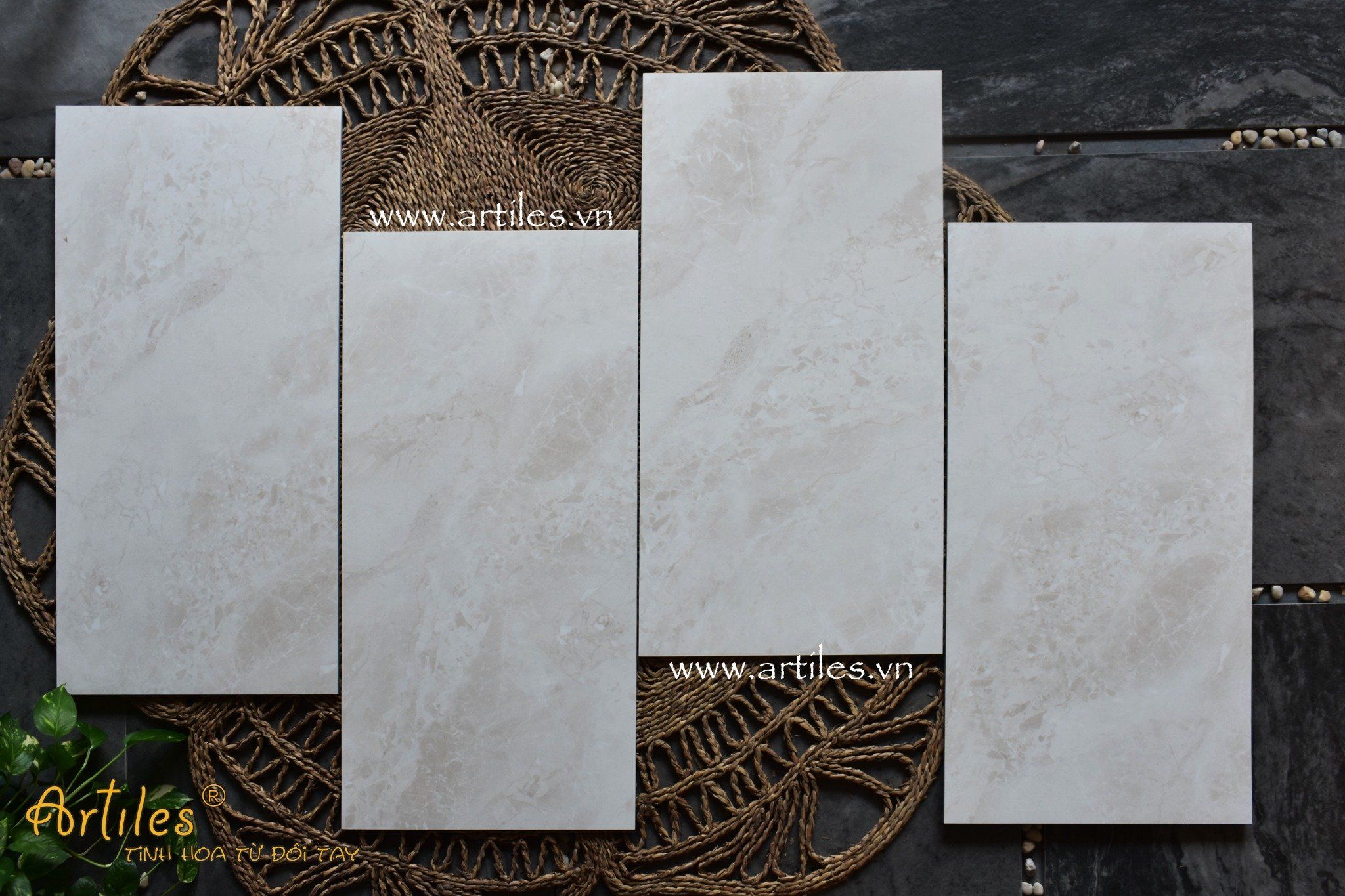 Gạch Bóng Kiếng 40x80 Vân Đá CA806