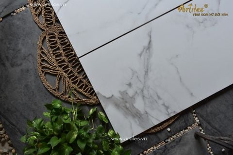  Gạch 60x120cm mờ trắng khói ArtM61202 