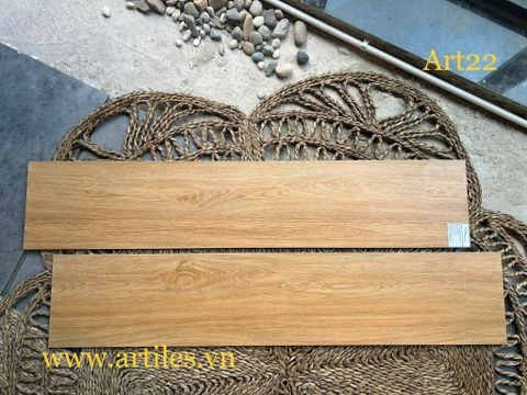  Gạch đá vân gỗ 20x100cm T22 