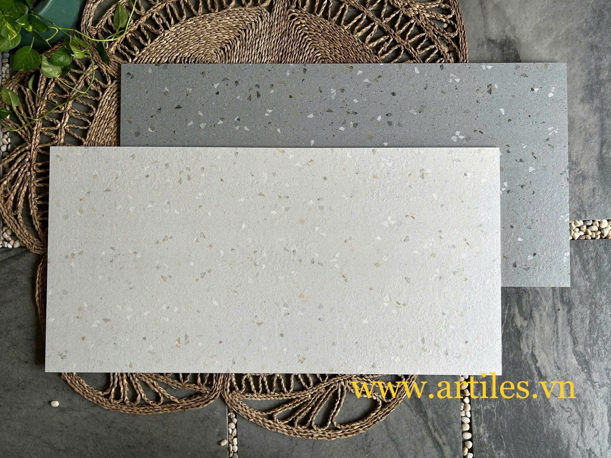 Gạch đá mài terrazzo 60x120cm Art61219